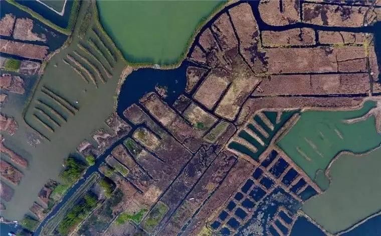 [公告]重磅出炉｜《河北雄安新区规划纲要》高清图