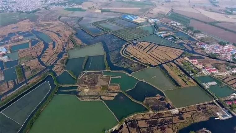 [公告]重磅出炉｜《河北雄安新区规划纲要》高清图