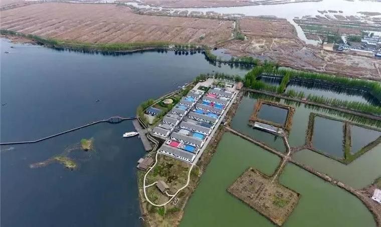 [公告]重磅出炉｜《河北雄安新区规划纲要》高清图
