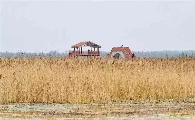 [公告]重磅出炉｜《河北雄安新区规划纲要》高清图