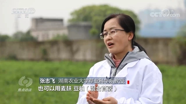 焦点访谈丨特色小镇“特”起来 机会藏在与众不同里！