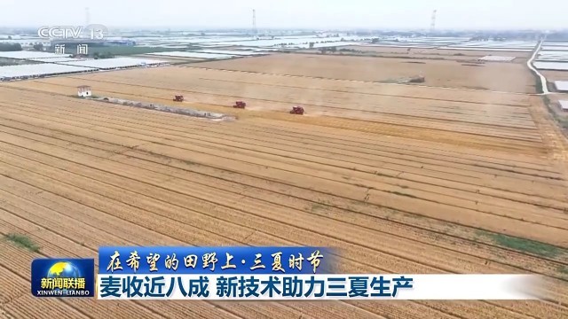 “麦稻同框”丰收忙 大数据助力“三夏”时节颗粒归仓