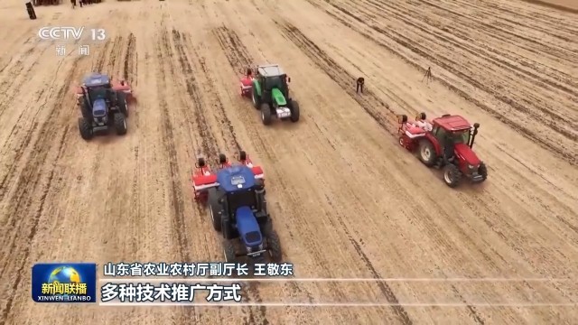 “麦稻同框”丰收忙 大数据助力“三夏”时节颗粒归仓