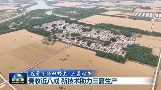 “麦稻同框”丰收忙 大数据助力“三夏”时节颗粒归仓